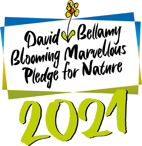 David Bellamy Award